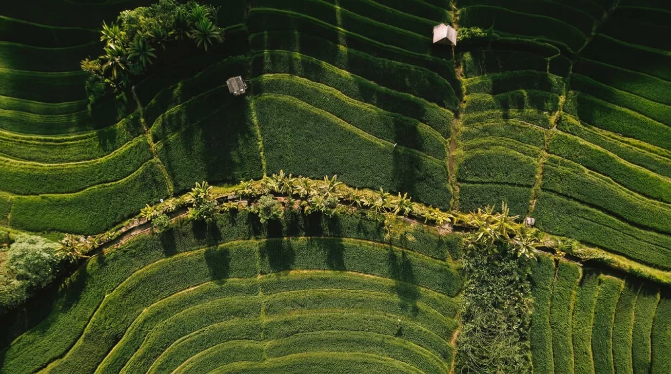Green Bioenergy Asia brand hero — a layered visual of the platform's energy and materials ecosystem.